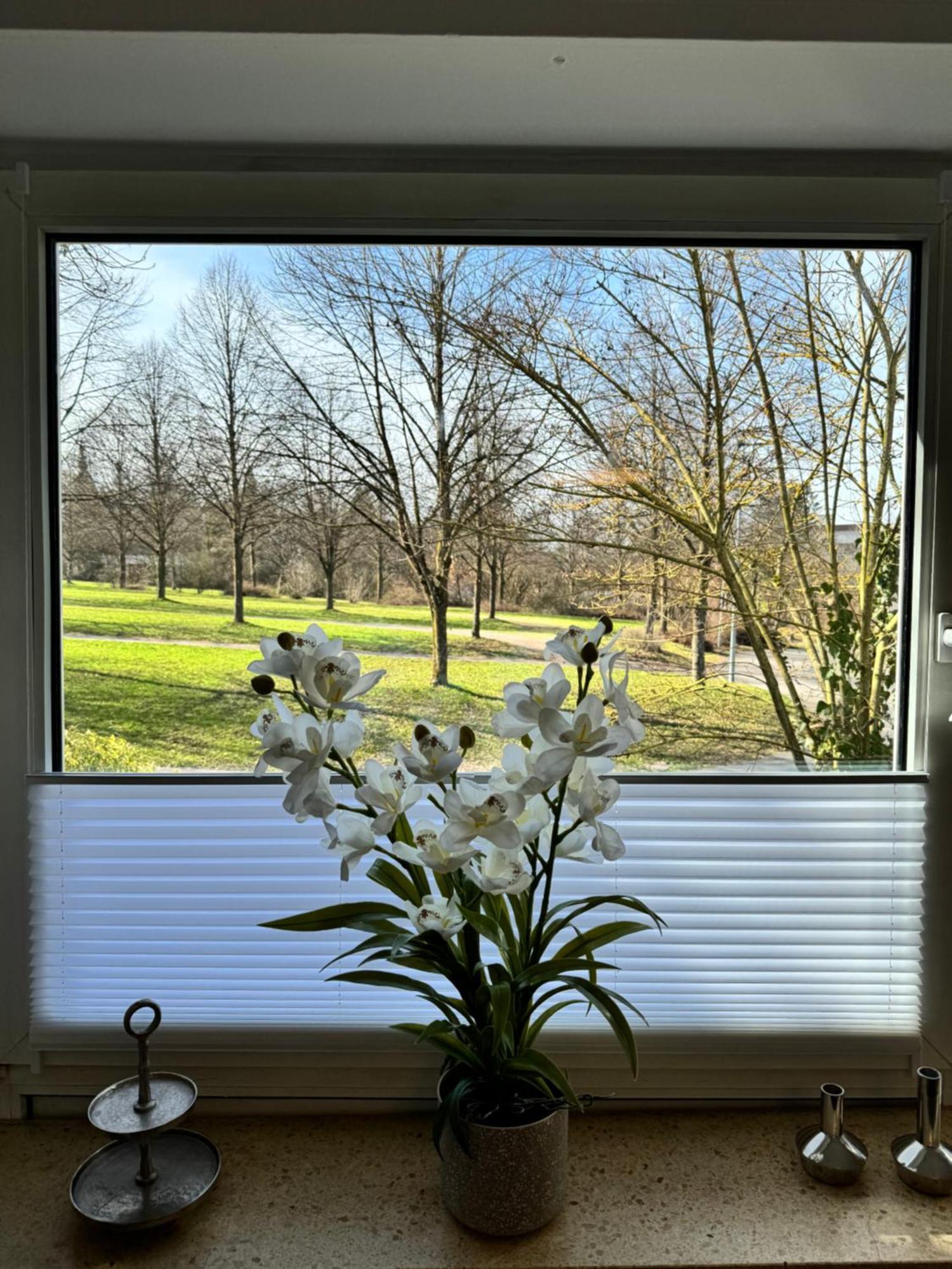 Biberach an der Riß Feel Like Home 3 מראה חיצוני תמונה